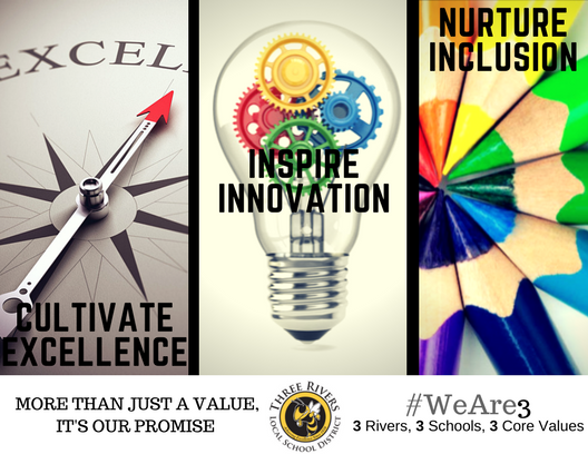 Cultivate Excellence, Inspire Innovation, Nuture Inclusion